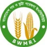 Bangladesh Wheat and Maize Research Institute (BWMRI)