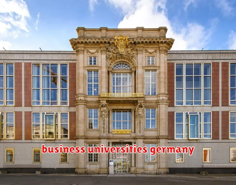 business universities germany