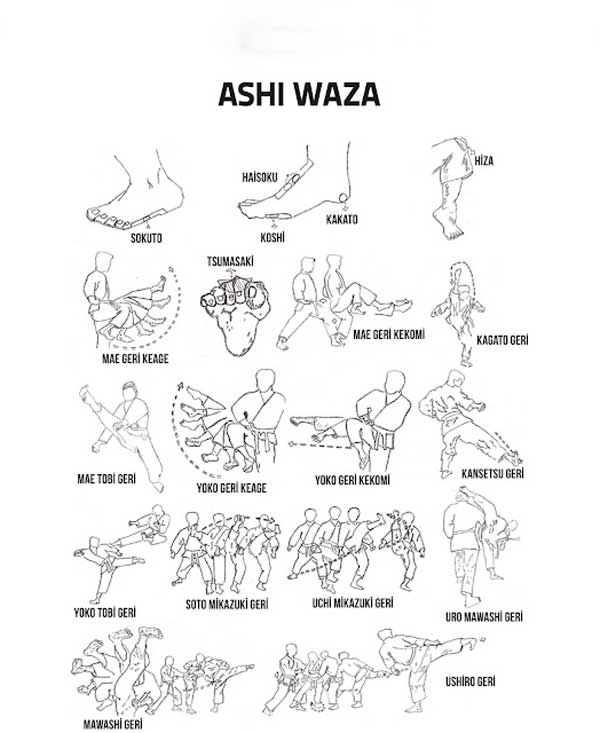 Ashi Waza