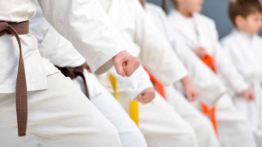 Tingkatan Sabuk Karate